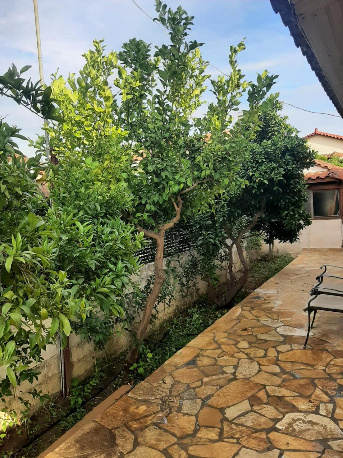 Tota'S Family House, 4 Min Walk To The Beach Levendokhorion Екстер'єр фото